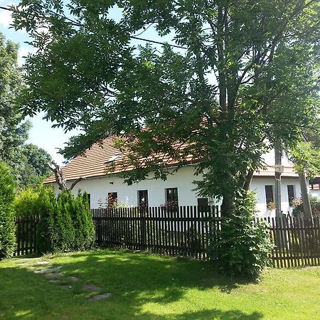Apartmán Krátká Kratka Quarto foto